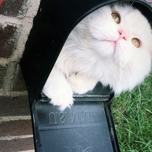 Meet your Posher, Samia